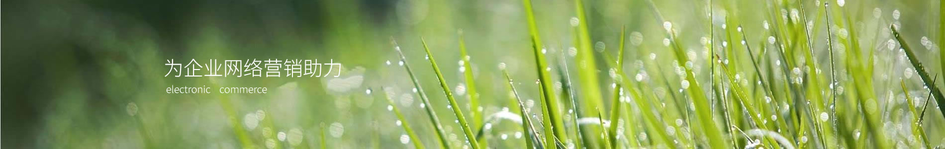 кҵ޹˾